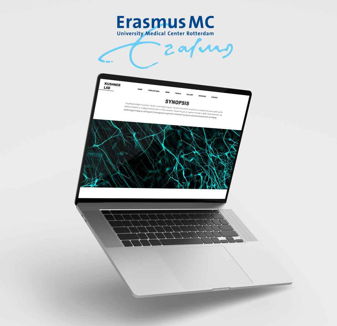 Wordpress & Customised Website
